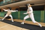 Highlight for Album: Fencing