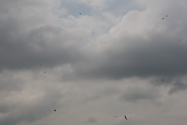 IMAGE: http://www.kevinleitch.com/images/potn/cleaning-2.jpg